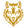 The Wolf - Career and Internship Program in Ajmer